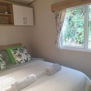 Caravan under the tree, Seton Sands