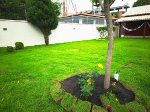 Las Rocas Bech House