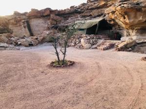 Tsubes Petrified Forest Tented Camp