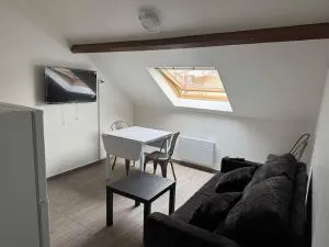 Appartement J, RESIDENCE DU RENOUVEAU, Stade de France, idéal pour 4 pers - 圣但尼