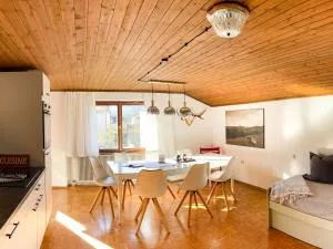 Sonnes Apartment - 施瓦岑贝格