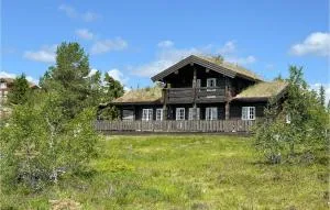 Amazing Home In Nissedal With Lake View - Kyrkjebygdi