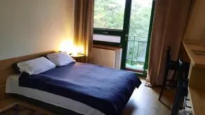 Nad Zalewem w Serocku - 比亚沃布热吉