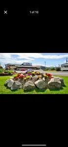 Willerby, Peppy, Sycamore Walk, Lyons Robin Hood Holiday Park - 拉尔