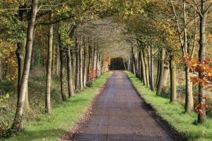 Vakantiewoning Bij Brugge