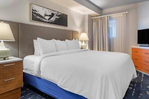 One-Bedroom Suite room in Bluegreen Vacations Carolina Grande an Ascend Resort