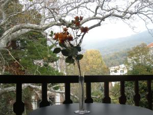 Pelias Hotel Pelion Greece