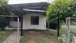 Carnaval Las Tablas 2025 - Чітре