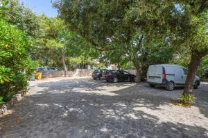 Apartment Neve