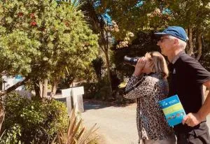 贝壳杉海岸十大假日公园  - Parore