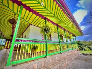 Dreams Hotel y Restaurante - Hojas Anchas