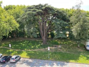 Appartements Sous les toits de la Tavarn Ty Gar : photos des chambres