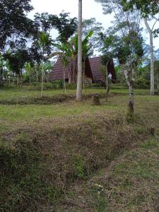 Bedugul puncak& giri camp