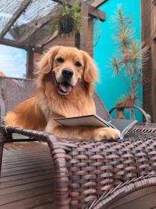 Villa Rosa e Mar - Praia do Rosa