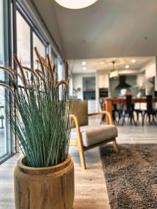 5BR, 3 toilets, 2 Baths - Exclusive Acreage Home