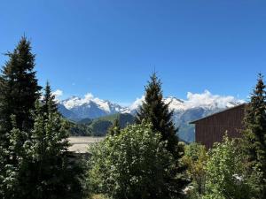 Studio 4 pers à lAlpe dHuez avec balcon et animaux acceptés - FR-1-405-366