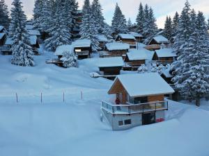 Courchevel 1850 Chalet Neuf Luxe 6 pers. - FR-1-575-233