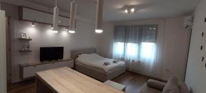 Stela apartment