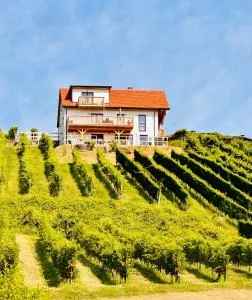 Rebenchalet - Rogašovci