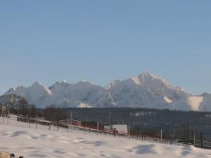 Anna i Franciszek Żegleń Maćkulok