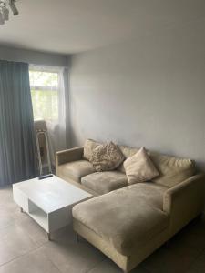 One Bedroom Apartment at Circa