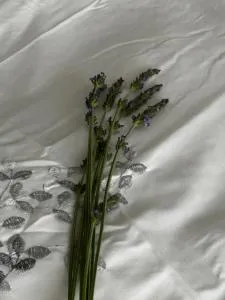 Jacob's Rest - Brackenfell