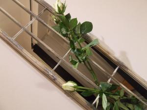 Apartament "Bulwar" - old town