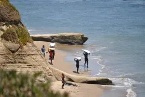 Santa Cruz - Pleasure Point Beach Bungalow - 卡皮托拉