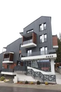 Montan-Aparthotel - 布朗