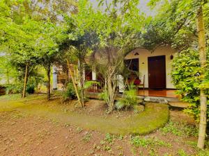 Woodholic Homestay