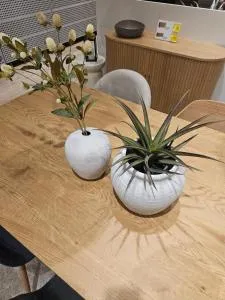 Downtown Gem Rooms - Vecsés