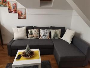 Apartman & Spa Kocić Zlatibor