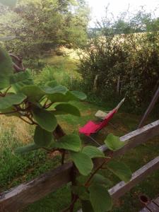 Sejours a la campagne La Tiny du Grand Bois - Petit dejeuner inclus : photos des chambres