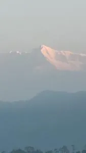 Dhamot Home Stay - Dharamgarh