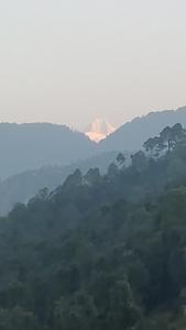 Dhamot Home Stay