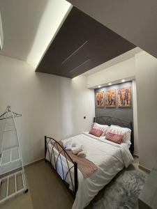 Purpe Orchid - Modern Studio