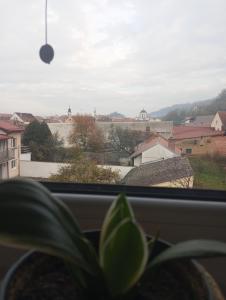 Deniro Apartment - 4hvězdičkové hotely ve městě Požega