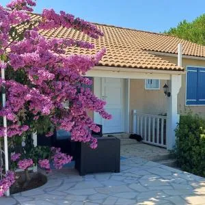 Résidence Bougaînvilliers - Alignan-du-Vent