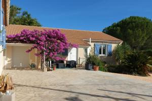 Maisons de vacances Residence Bougainvilliers : photos des chambres