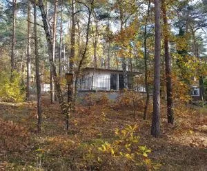 HausMeise - Heidesee