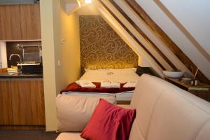 SKI MONTIS apartmani - Kopaonik centar