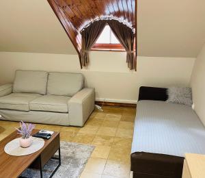 Downtown Apartments with shared kitchen