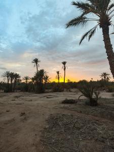 Coopérative Ogandou