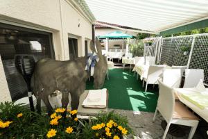 Hotel - Restaurant Traube