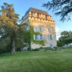Château Tour du XIII siècle Gazaupouy - Gazaupouy