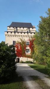 Château Tour du XIII siècle Gazaupouy