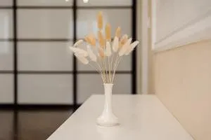 Elegant stay near the Park - Codru