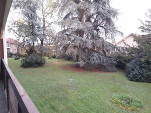 Appartements Charmant studio au calme dans le parc : photos des chambres