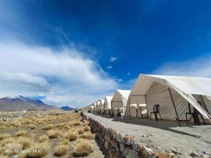 Blue Waves Camps Lake View Pangong