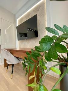 Benczúr Studio Apartment